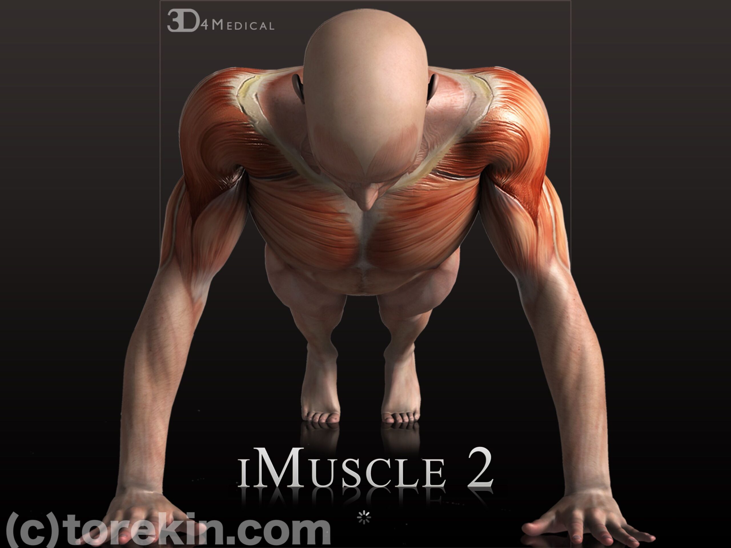 【レビュー】ワークアウトアプリ「iMuscle 2」